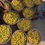 Govt Seizes Chemically Ripened Fruits In Oyo Market, Issues Health Warning